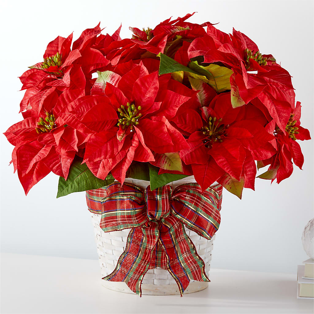 Happiest Holidays Poinsettia – MILLER'S FLOWERS, Racine WI