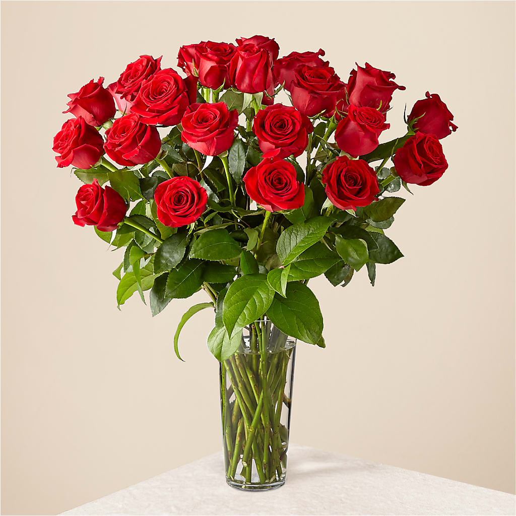 Long Stem Red Rose Bouquet – MILLER'S FLOWERS, Racine WI