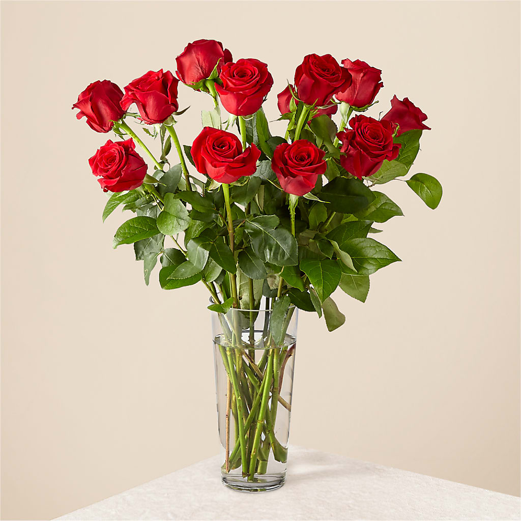 Long Stem Red Rose Bouquet – MILLER'S FLOWERS, Racine WI