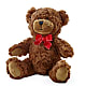 Adorable Plush Bear – MILLER'S FLOWERS, Racine WI