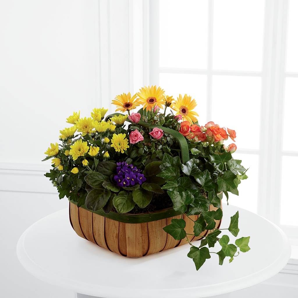 Gentle Blossoms Basket – MILLER'S FLOWERS, Racine WI