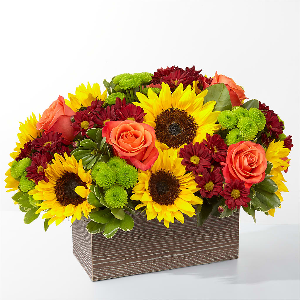 Happy Harvest Garden – MILLER'S FLOWERS, Racine WI