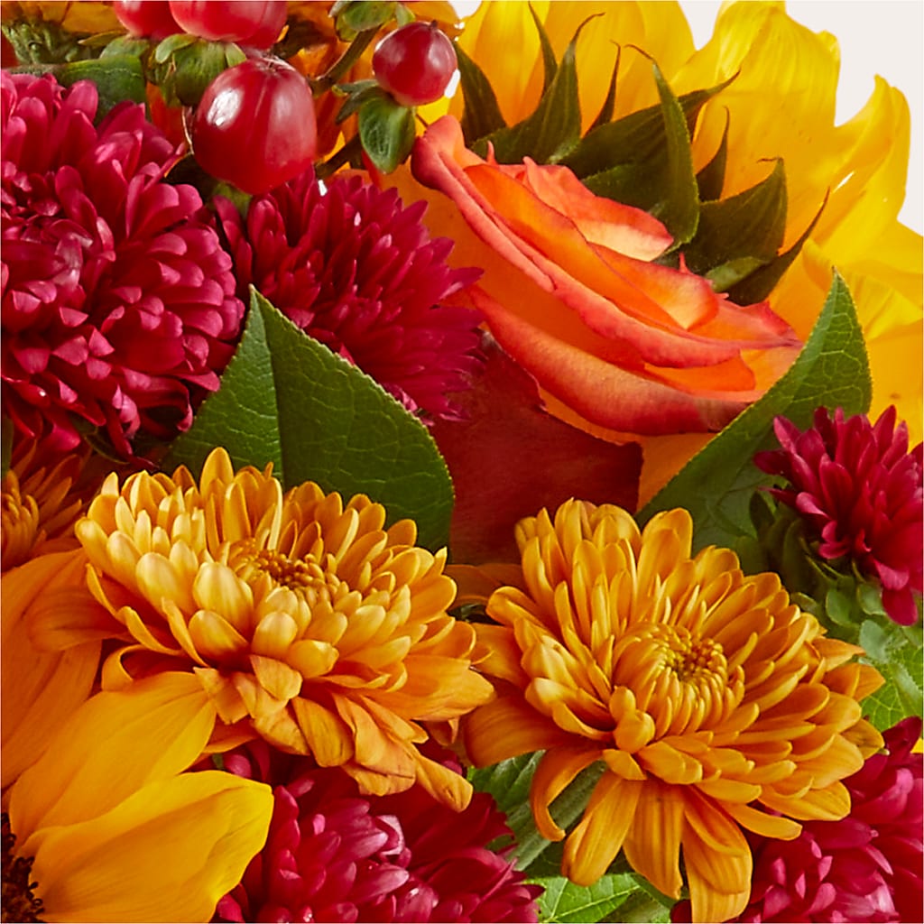 Sweater Season - A Florist Original – MILLER'S FLOWERS, Racine WI