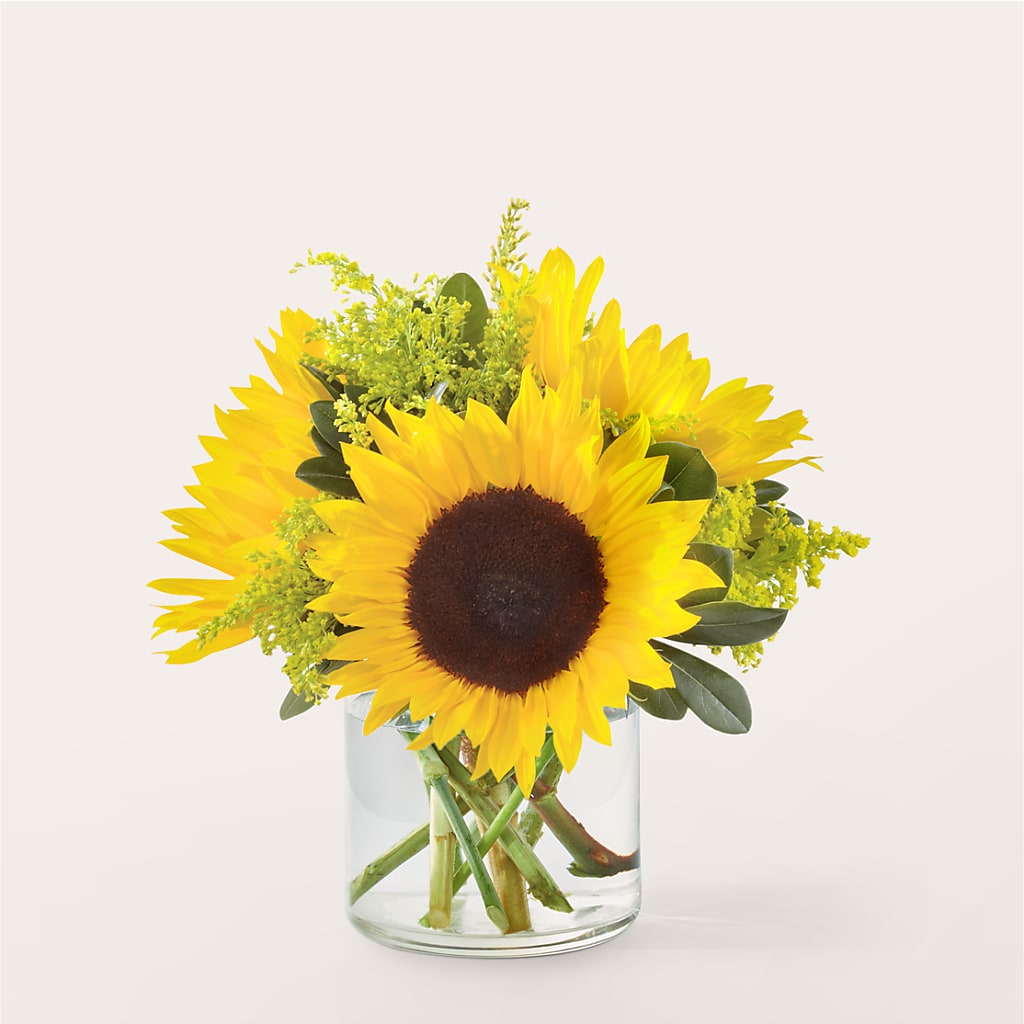 Beaming Sunflower Bouquet – MILLER'S FLOWERS, Racine WI