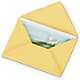 Greeting Card – MILLER'S FLOWERS, Racine WI