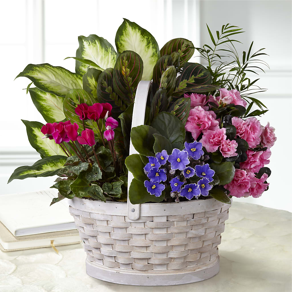 Peaceful Garden Planter – MILLER'S FLOWERS, Racine WI