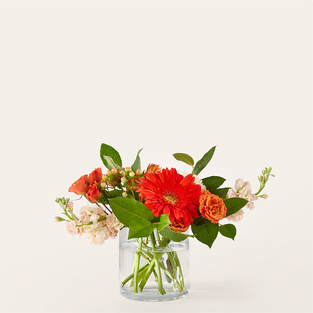 Paloma Please Bouquet – MILLER'S FLOWERS, Racine WI