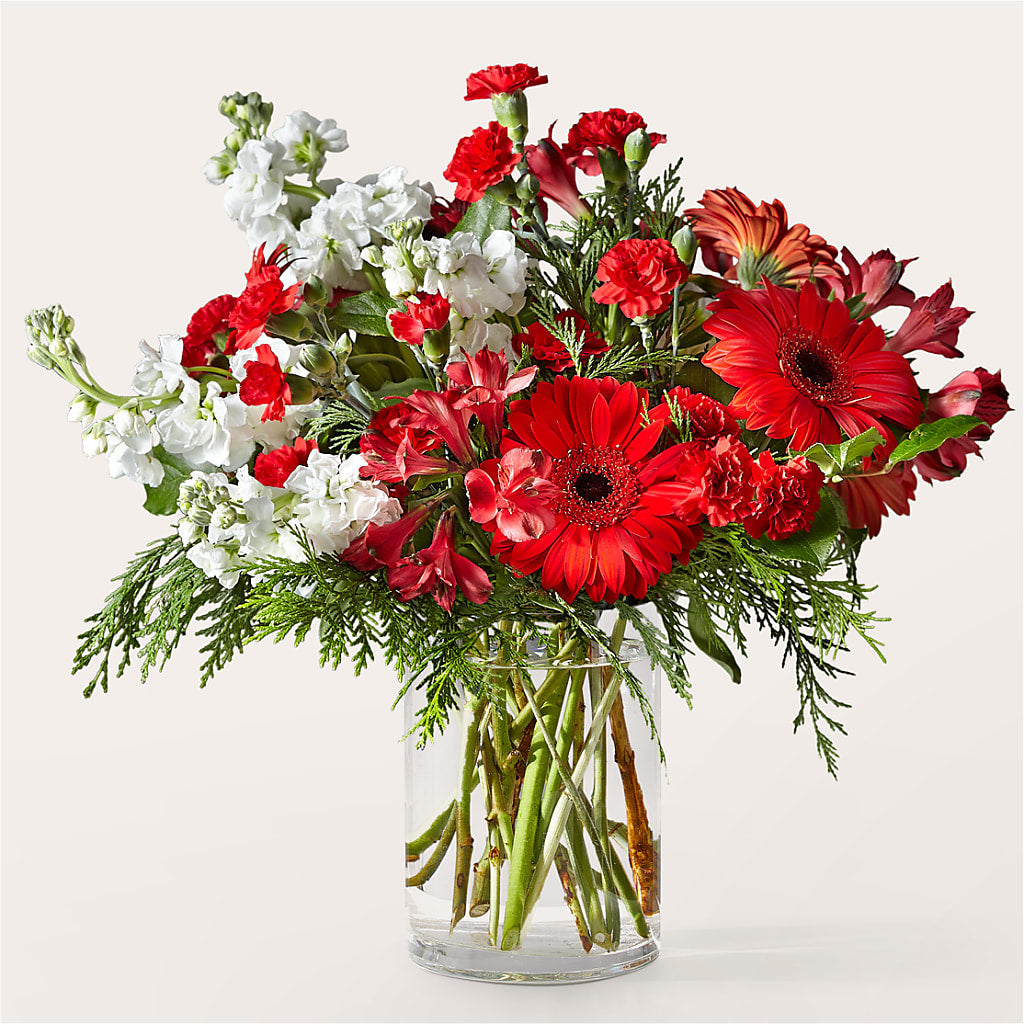 Holidaisy Bouquet – MILLER'S FLOWERS, Racine WI