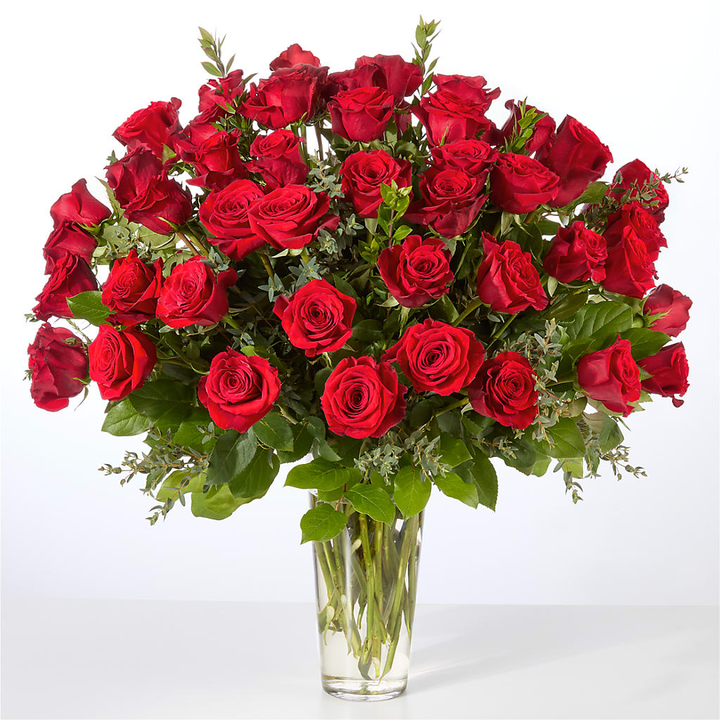 Forever Yours Fifty Stem Red Rose Bouquet – MILLER'S FLOWERS, Racine WI