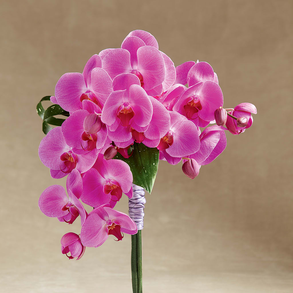 Glorious Bouquet – MILLER'S FLOWERS, Racine WI