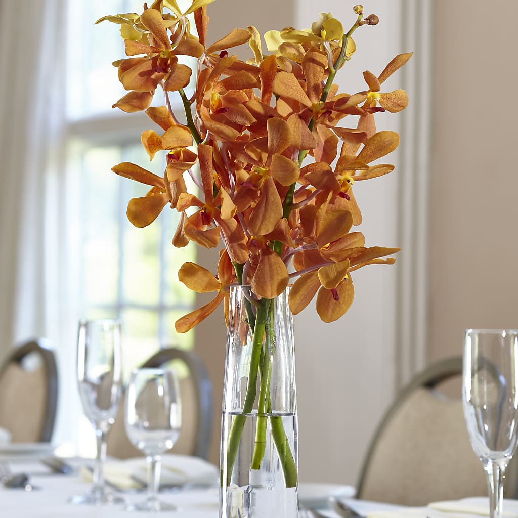 Orange Mokara Bud Vase – MILLER'S FLOWERS, Racine WI