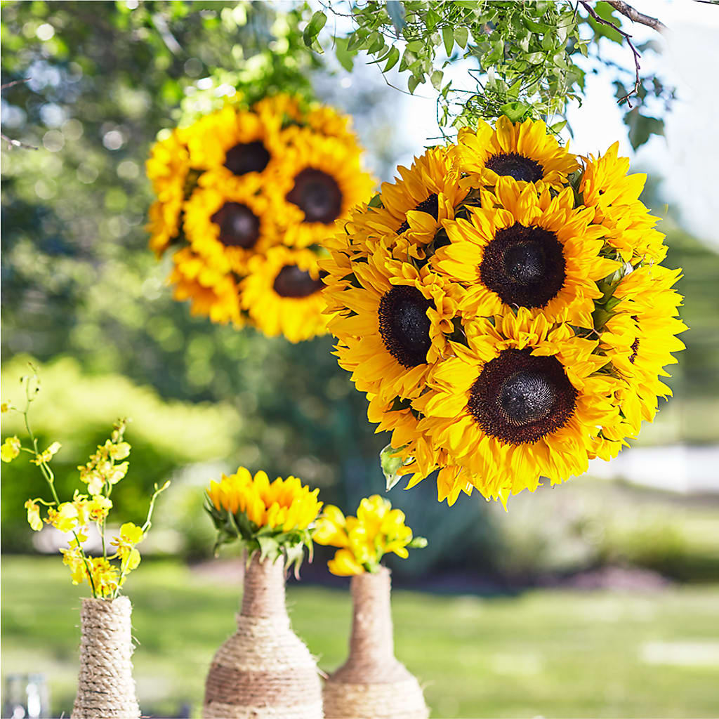 Sublime Garden Hanging Arrangement – MILLER'S FLOWERS, Racine WI
