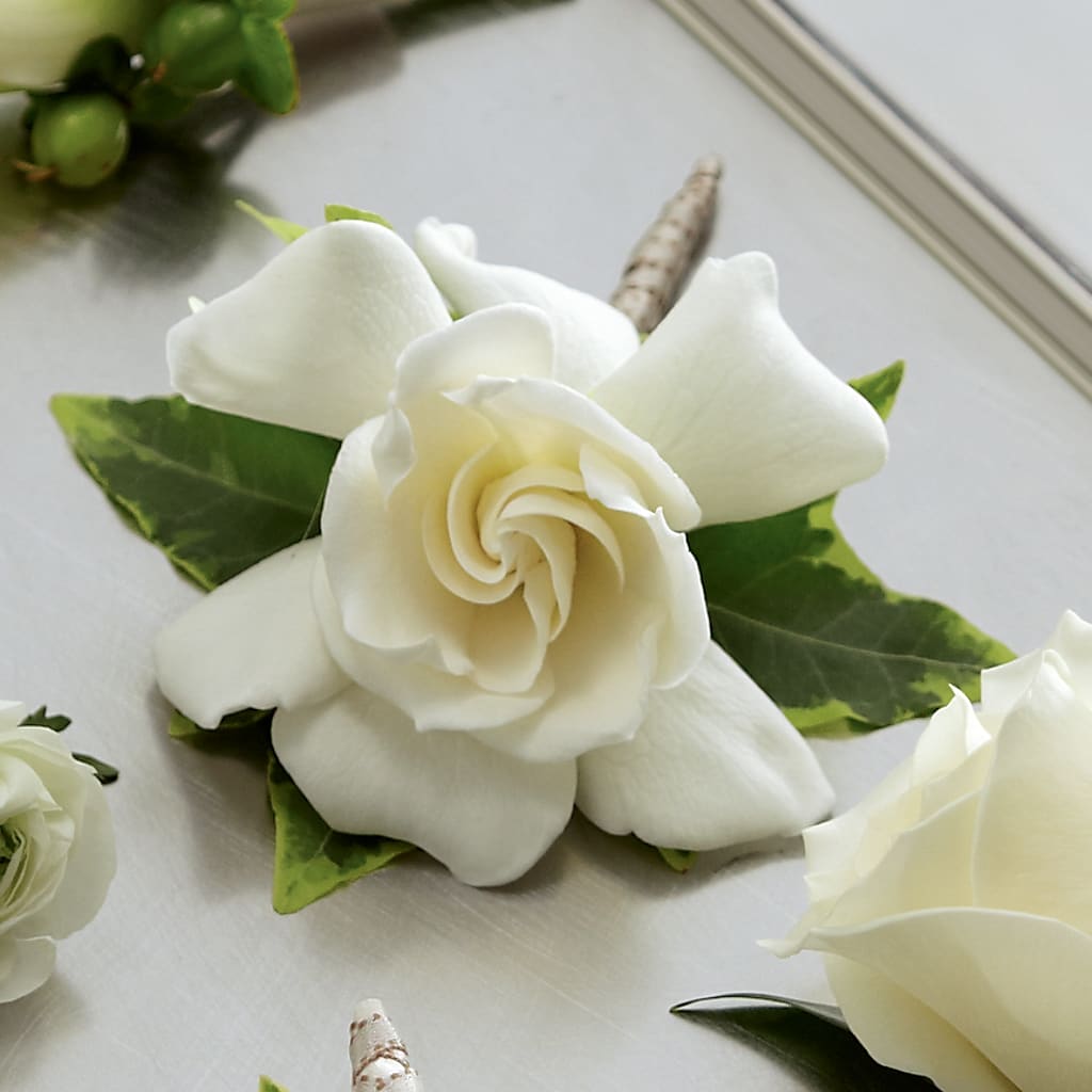 Gardenia Boutonniere – MILLER'S FLOWERS, Racine WI