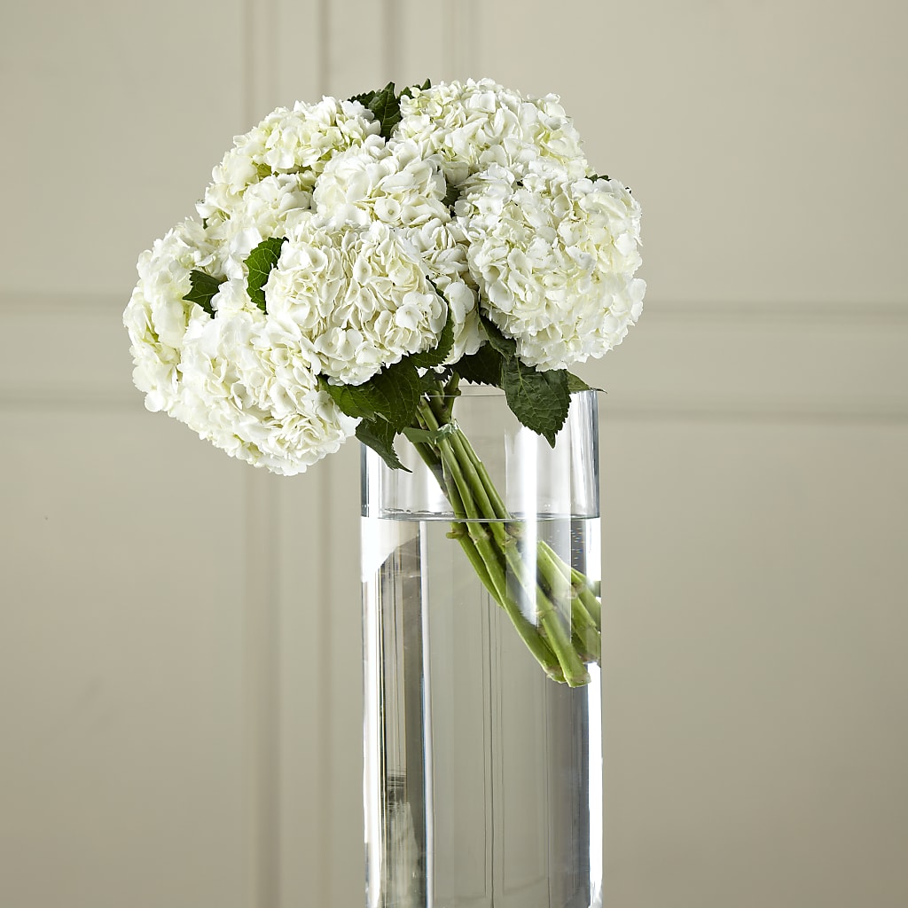 White Hydrangea Hand-Tied Bouquet – MILLER'S FLOWERS, Racine WI