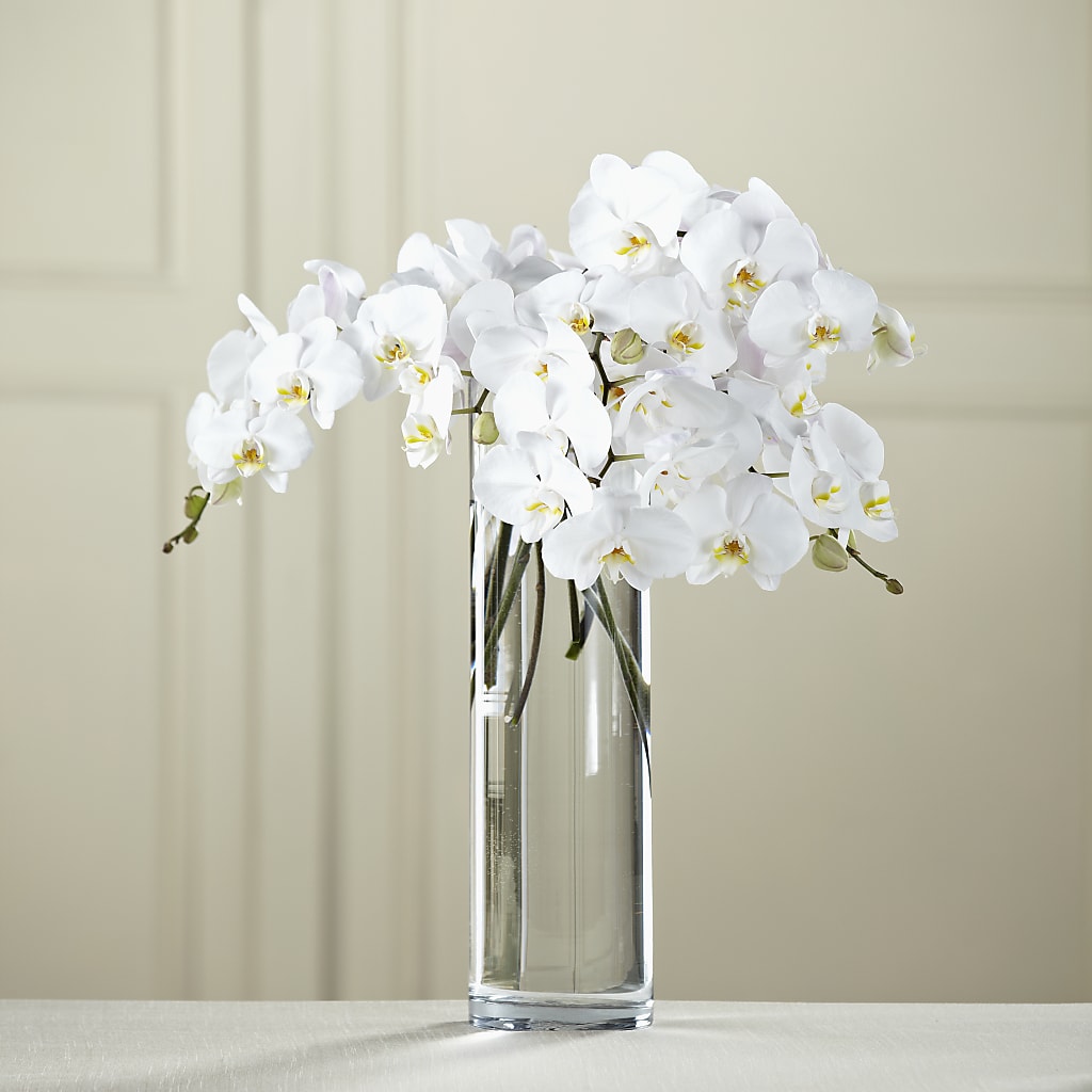 White Phalaenopsis Bouquet – MILLER'S FLOWERS, Racine WI