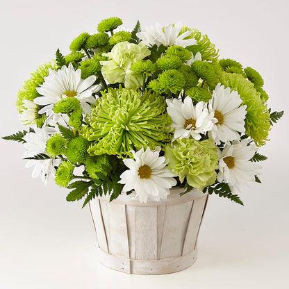 Lucky Charm Basket (Standard) – MILLER'S FLOWERS, Racine WI