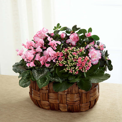Pink Assortment – MILLER'S FLOWERS, Racine WI