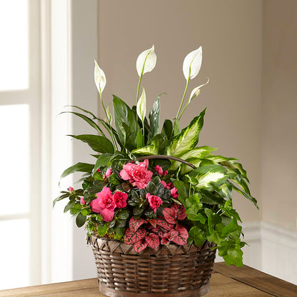 Dream in Pink Dishgarden – MILLER'S FLOWERS, Racine WI