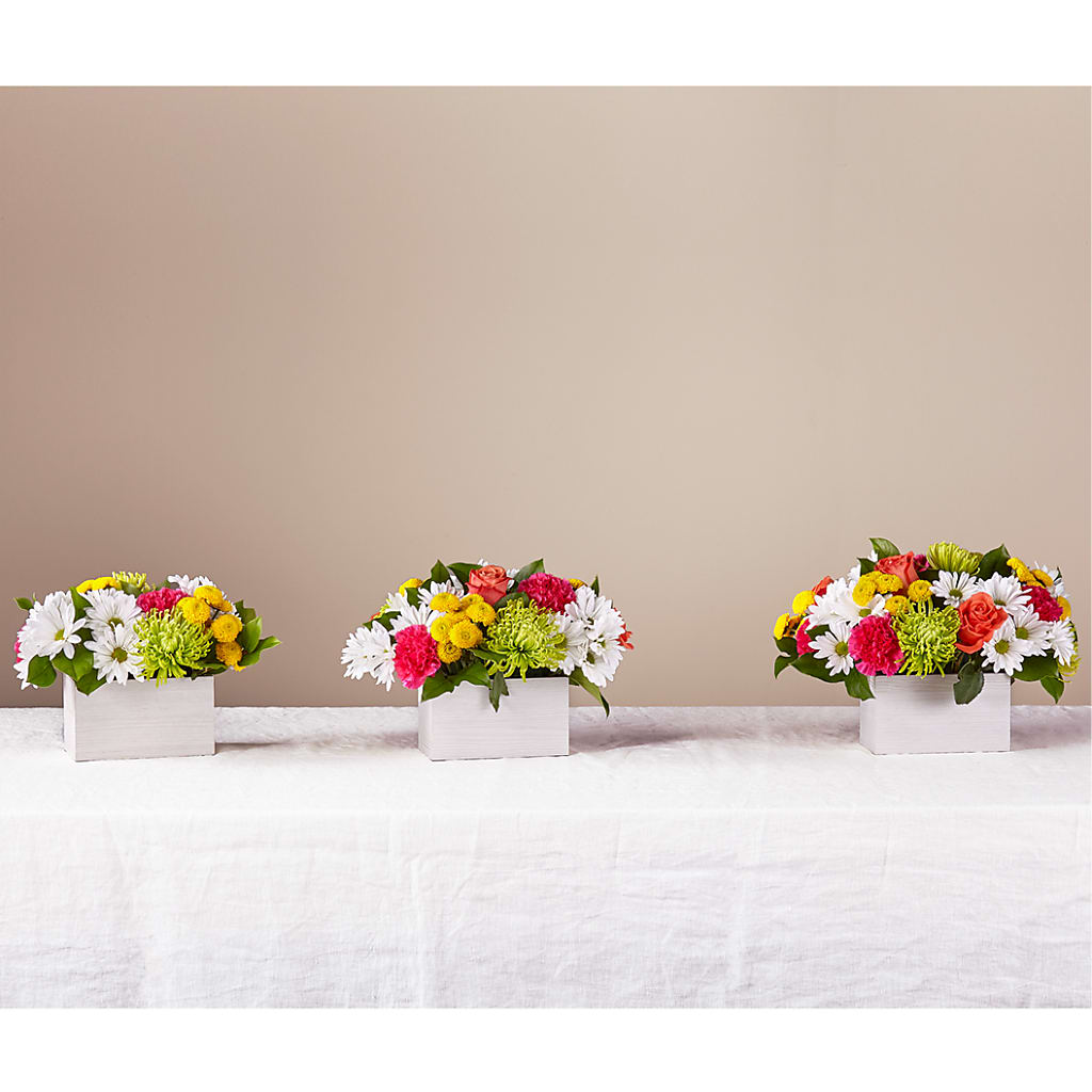 Sorbet Bouquet – MILLER'S FLOWERS, Racine WI