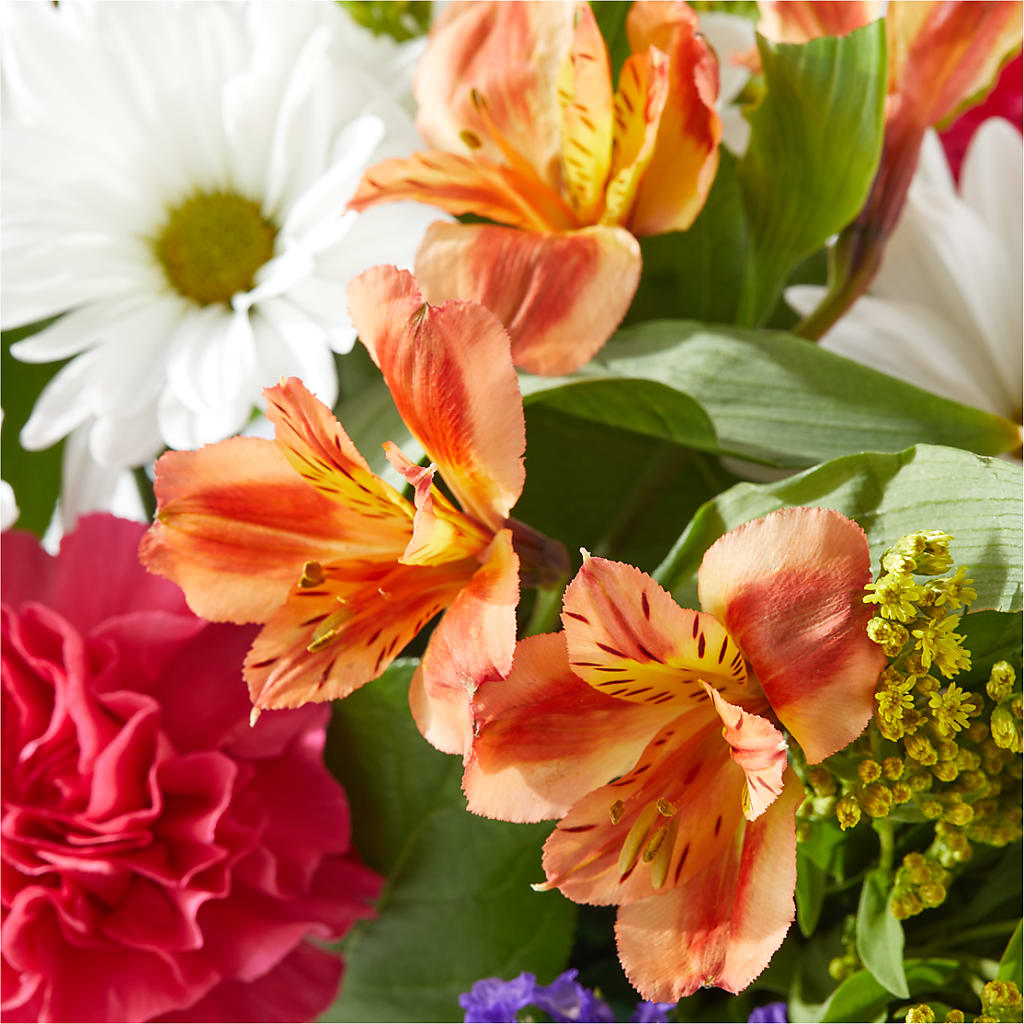 Oopsie Daisy Box Bouquet – MILLER'S FLOWERS, Racine WI