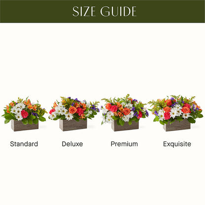 Oopsie Daisy Box Bouquet – MILLER'S FLOWERS, Racine WI