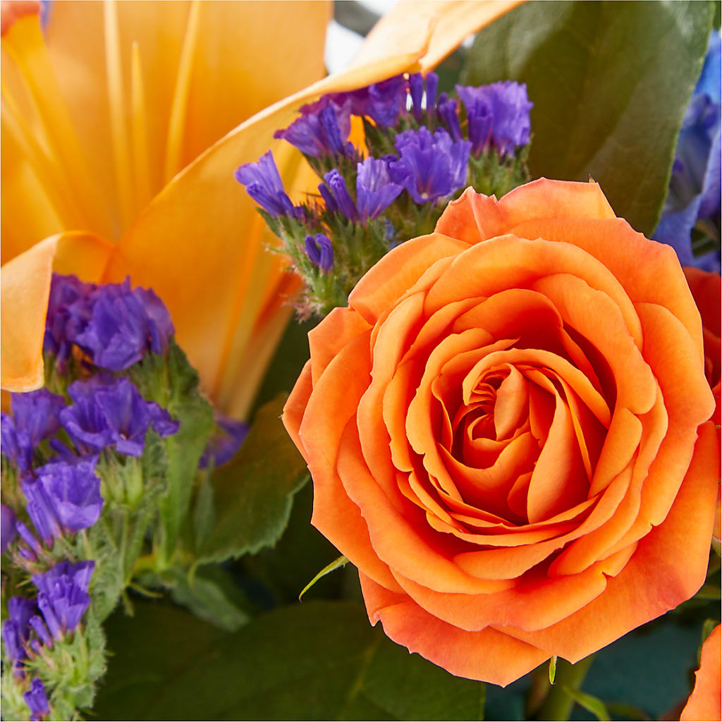 Radiant Citrus Box Bouquet – MILLER'S FLOWERS, Racine WI