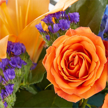 Radiant Citrus Box Bouquet – MILLER'S FLOWERS, Racine WI