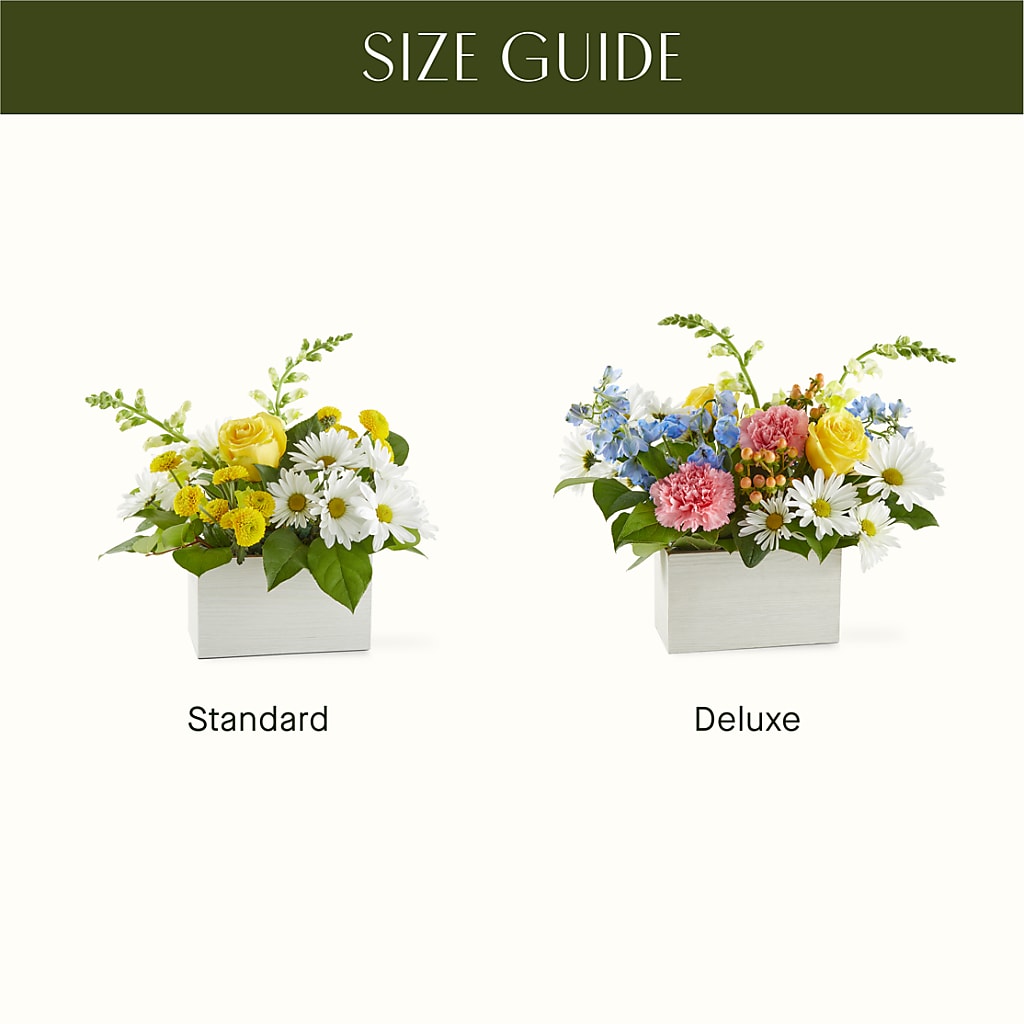 Sun Salutation Box Bouquet – MILLER'S FLOWERS, Racine WI
