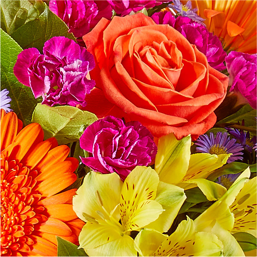 Tricks & Treats Pumpkin – MILLER'S FLOWERS, Racine WI