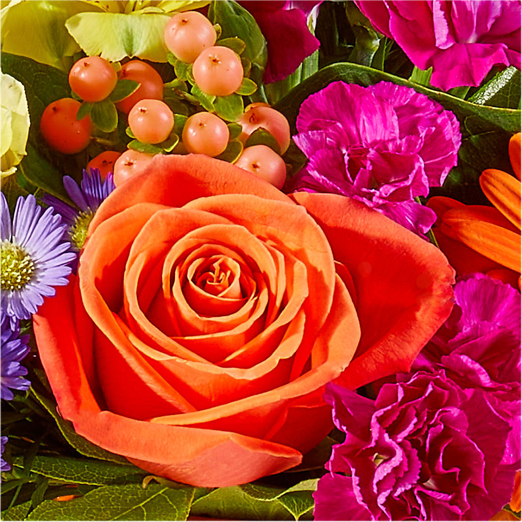 Tricks & Treats Pumpkin – MILLER'S FLOWERS, Racine WI