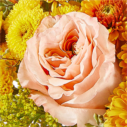 Peachy Pumpkin – MILLER'S FLOWERS, Racine WI