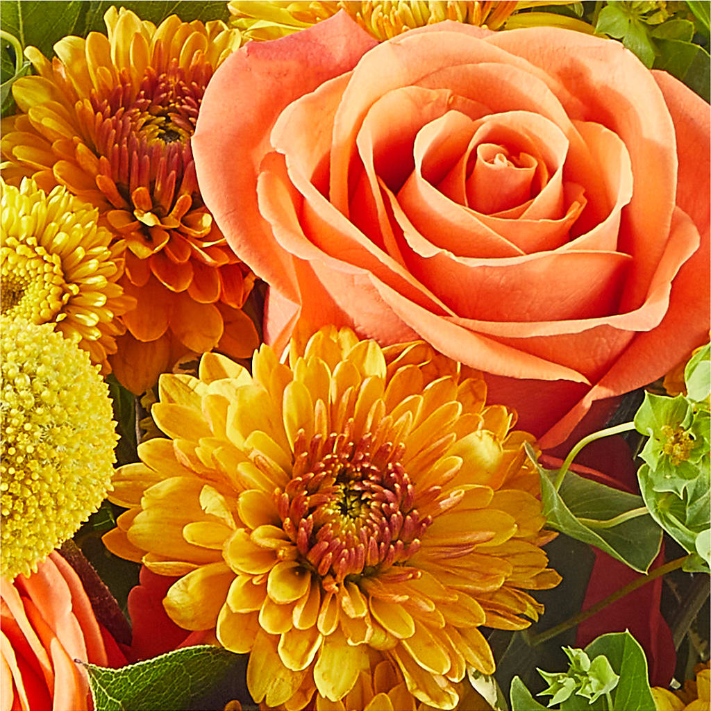 Gourdgeous Pumpkin – MILLER'S FLOWERS, Racine WI
