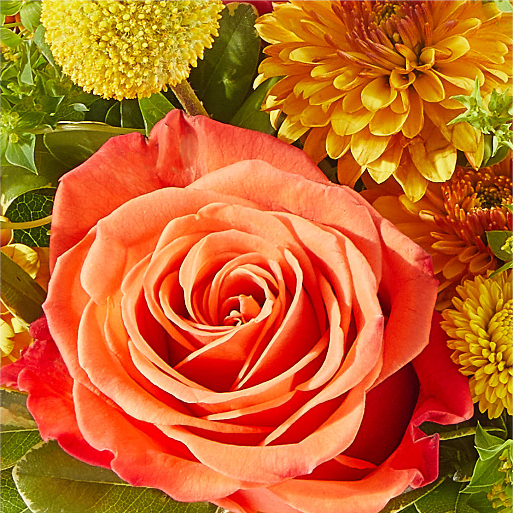 Gourdgeous Pumpkin – MILLER'S FLOWERS, Racine WI