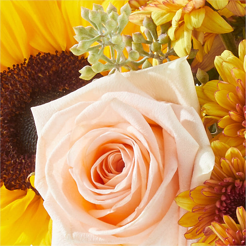 Pumpkin to Talk About Bouquet – MILLER'S FLOWERS, Racine WI