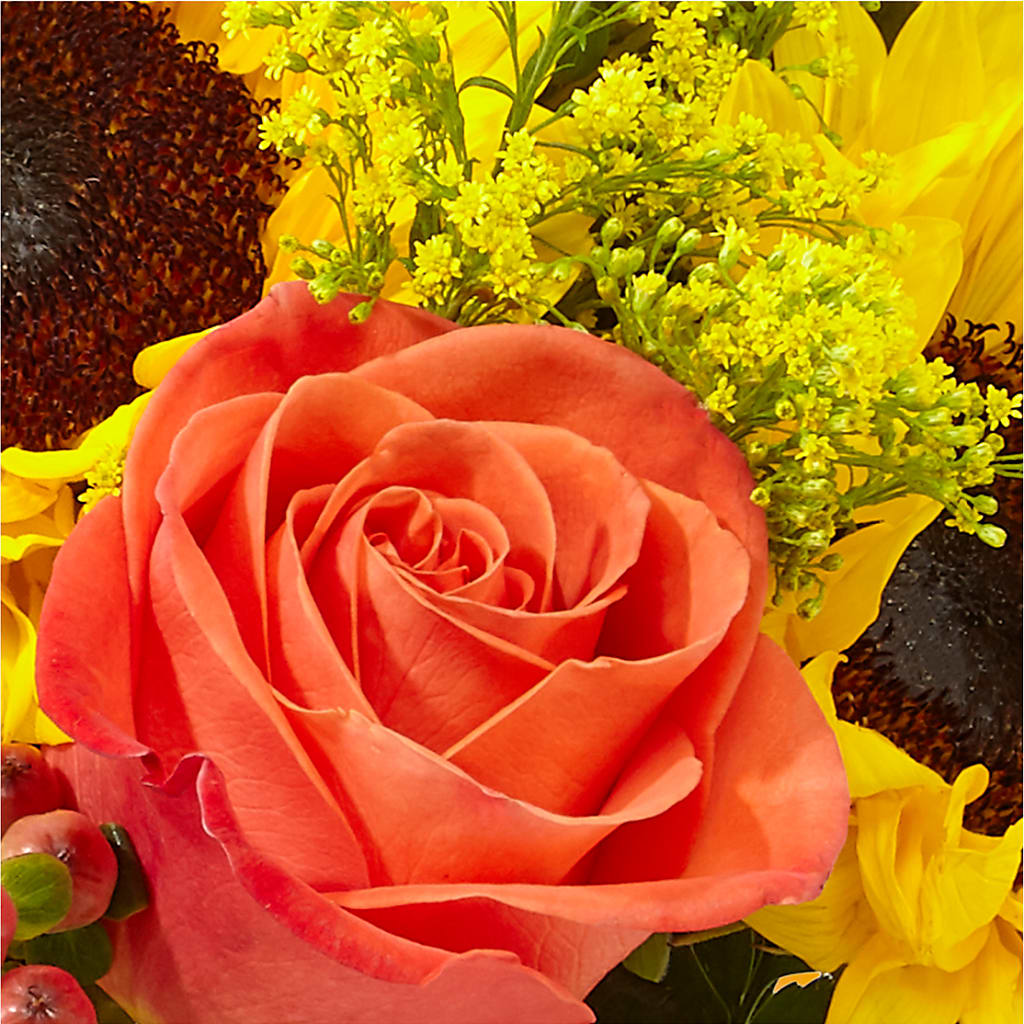 Pick of the Patch Pumpkin Bouquet – MILLER'S FLOWERS, Racine WI