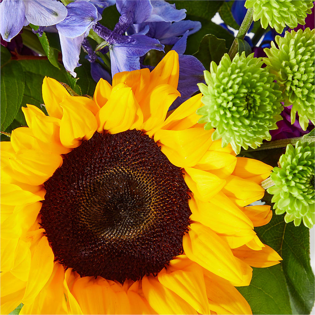Catching Rays Bouquet – MILLER'S FLOWERS, Racine WI