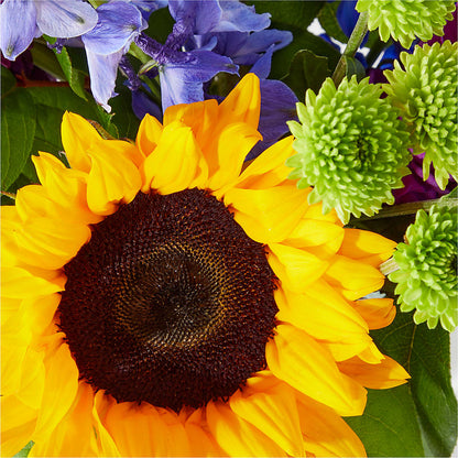Catching Rays Bouquet – MILLER'S FLOWERS, Racine WI