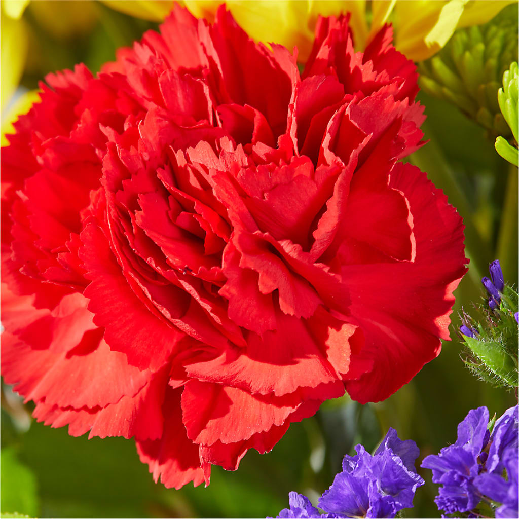 Brighter Days Bouquet – MILLER'S FLOWERS, Racine WI