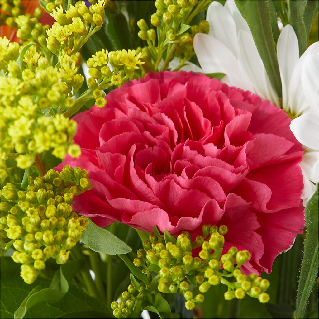 Oopsie Daisy Bouquet – MILLER'S FLOWERS, Racine WI