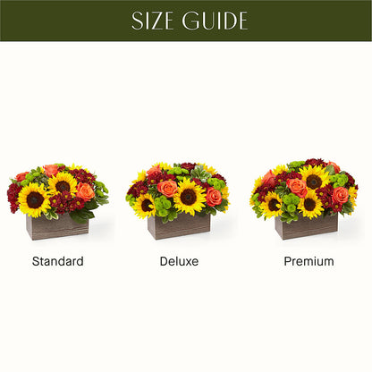 Happy Harvest Garden – MILLER'S FLOWERS, Racine WI