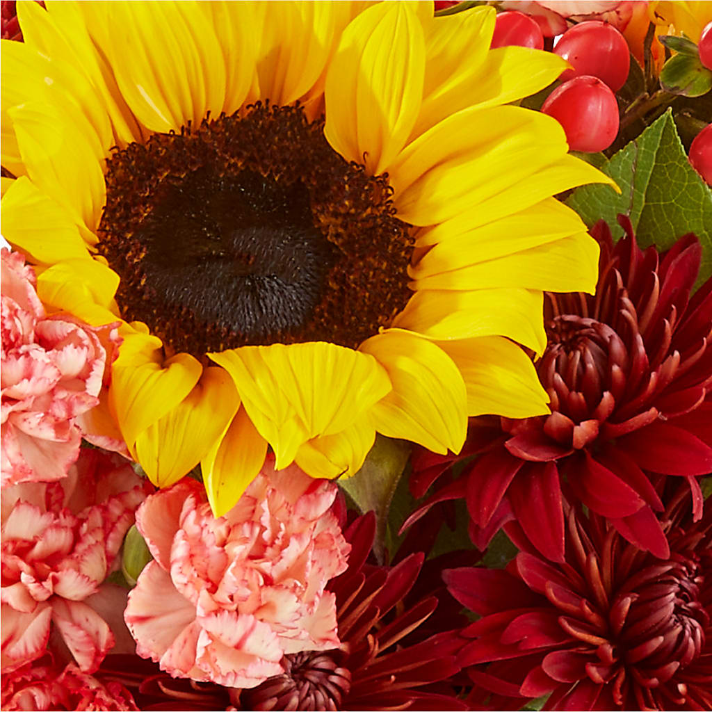 Fresh Cider Bouquet – MILLER'S FLOWERS, Racine WI