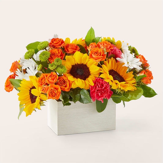 Sun-drenched Blooms Box Bouquet – MILLER'S FLOWERS, Racine WI