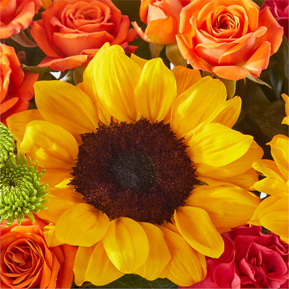 Sun-drenched Blooms Box Bouquet – MILLER'S FLOWERS, Racine WI