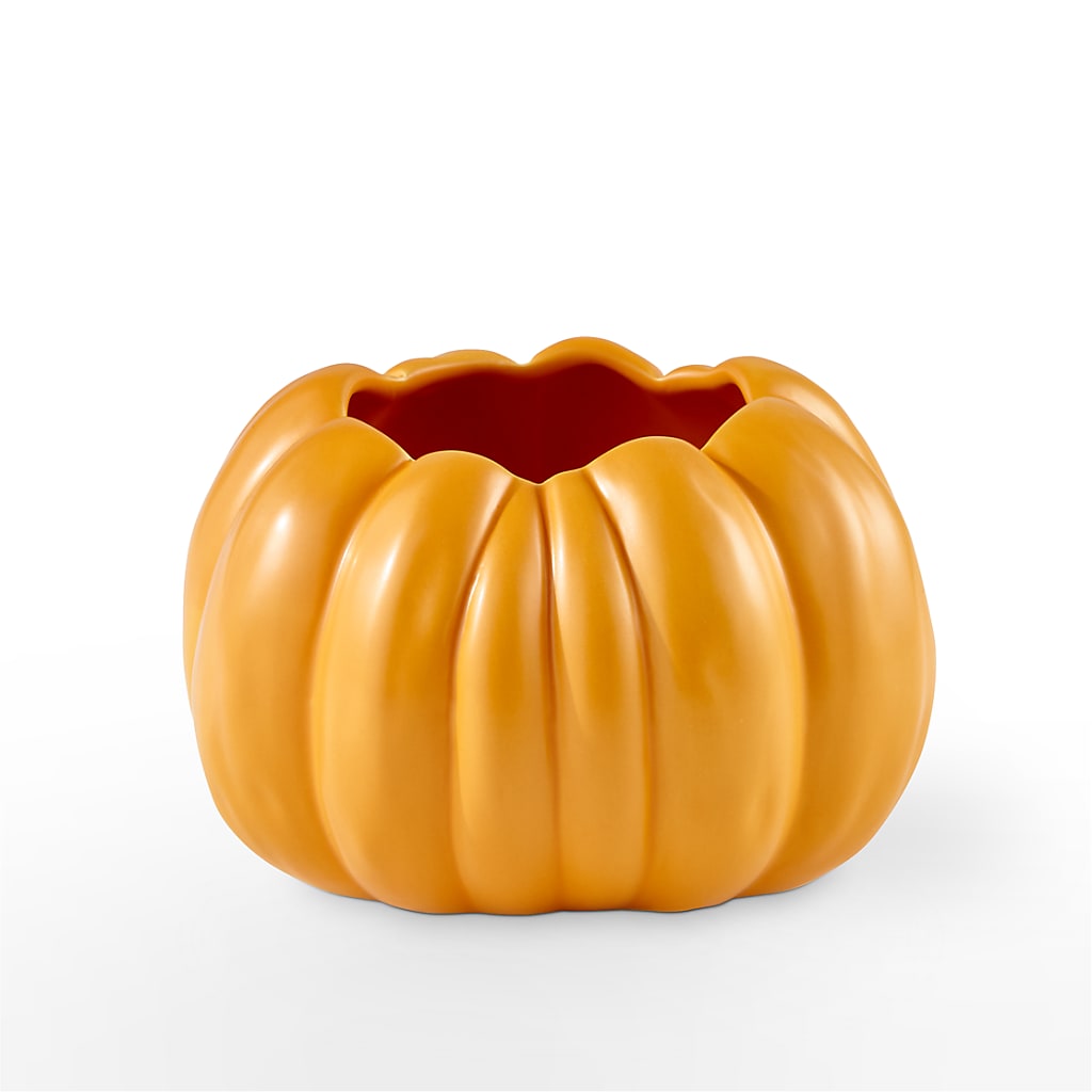 Pick of the Patch Pumpkin Bouquet – MILLER'S FLOWERS, Racine WI