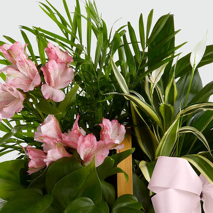 Living Spirit Dishgarden – MILLER'S FLOWERS, Racine WI