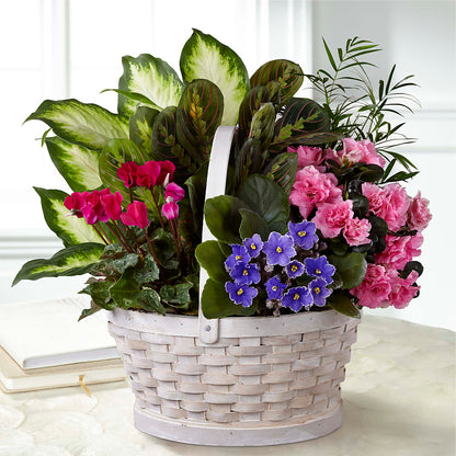 Peaceful Garden Planter – MILLER'S FLOWERS, Racine WI