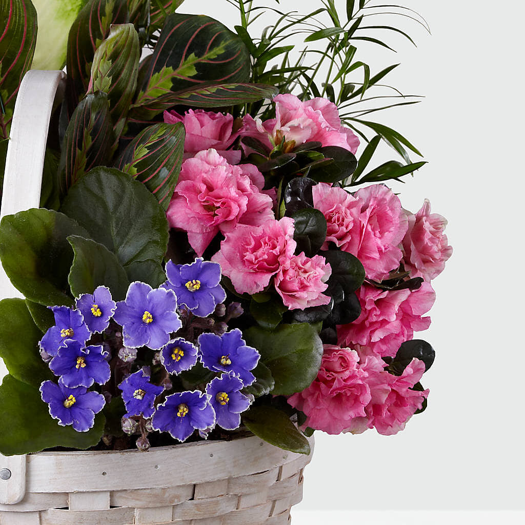 Peaceful Garden Planter – MILLER'S FLOWERS, Racine WI