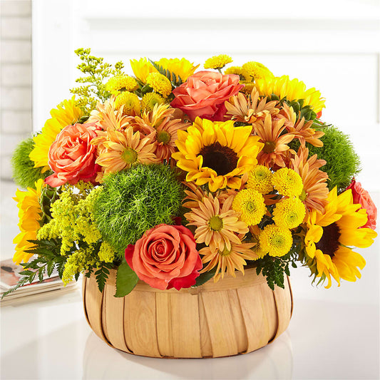 Harvest Sunflower Basket – MILLER'S FLOWERS, Racine WI