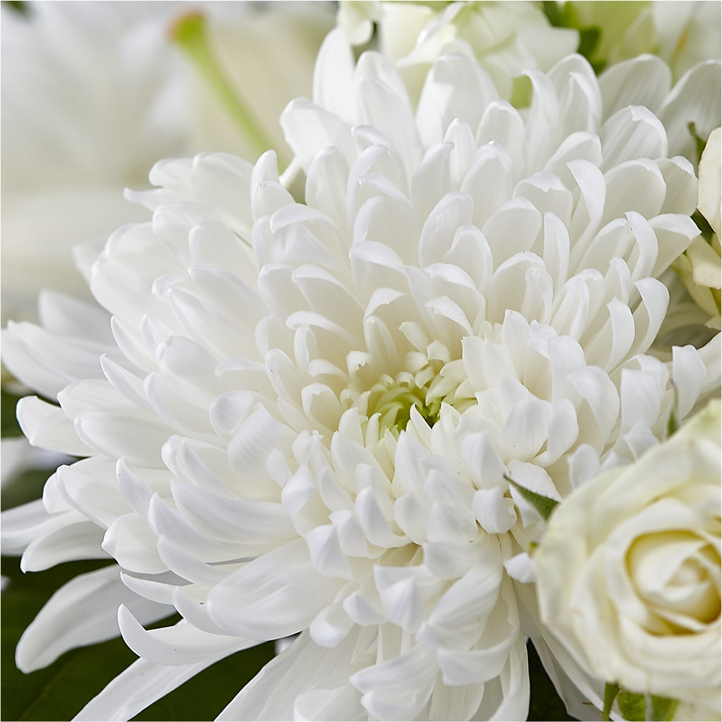 Classic Ivory – A Florist Original – MILLER'S FLOWERS, Racine WI