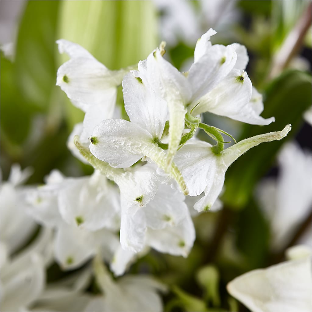 Classic Ivory – A Florist Original – MILLER'S FLOWERS, Racine WI